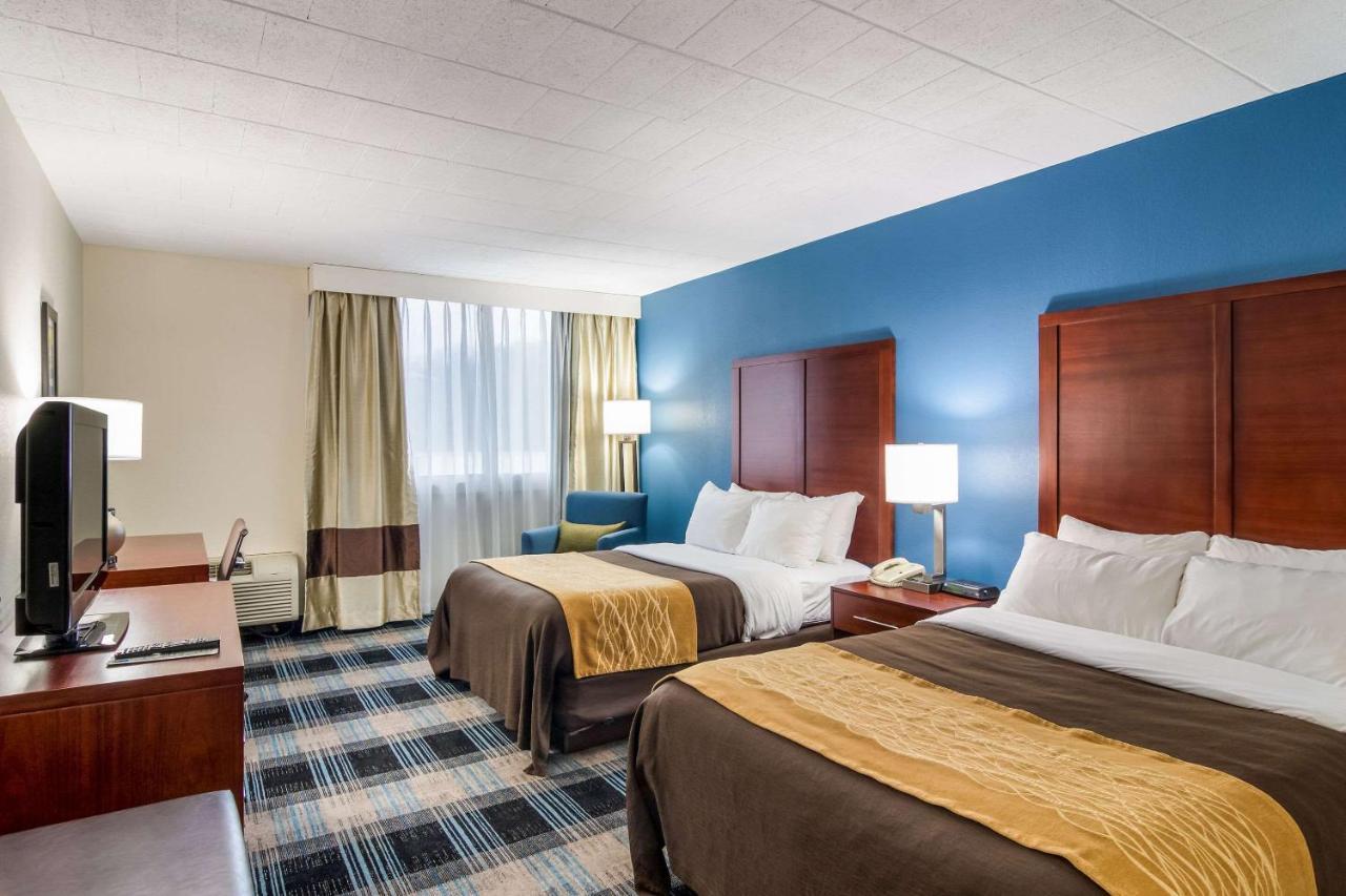 Comfort Inn & Suites Montrose Hill Luaran gambar